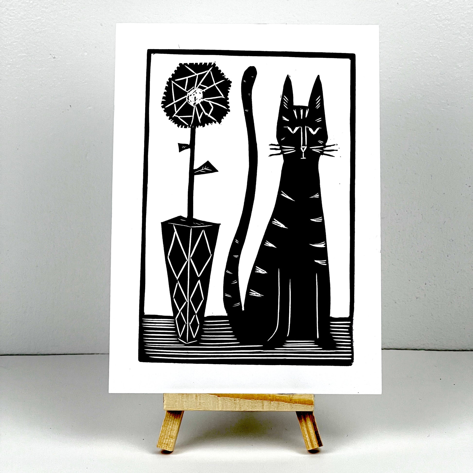 Black Cat Spider Plant - Arts & Crafts