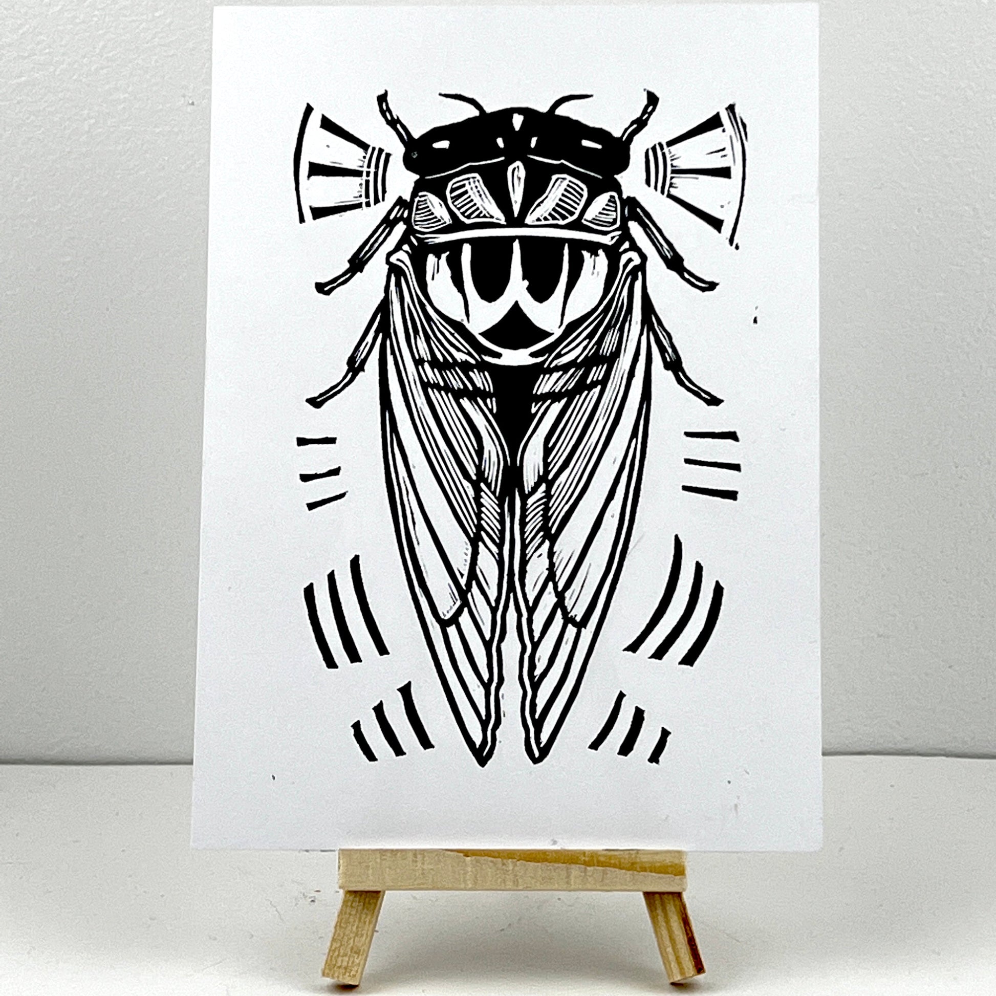 Cicada - Arts & Crafts