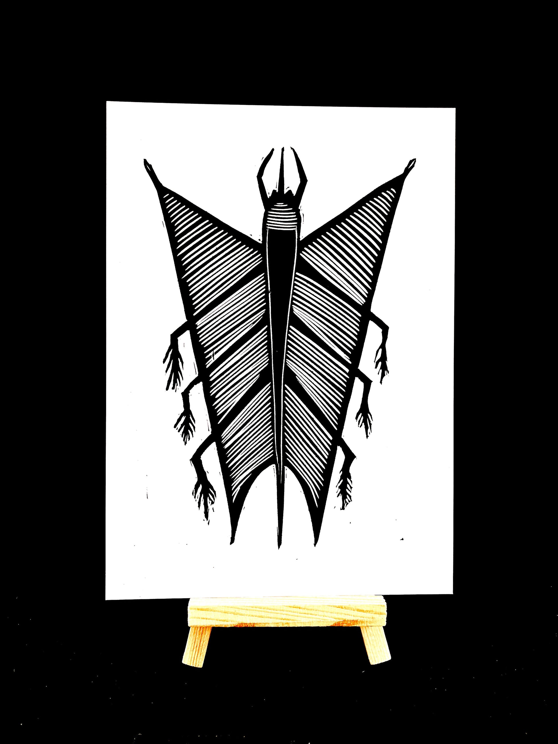 Crazy Bug - Arts & Crafts