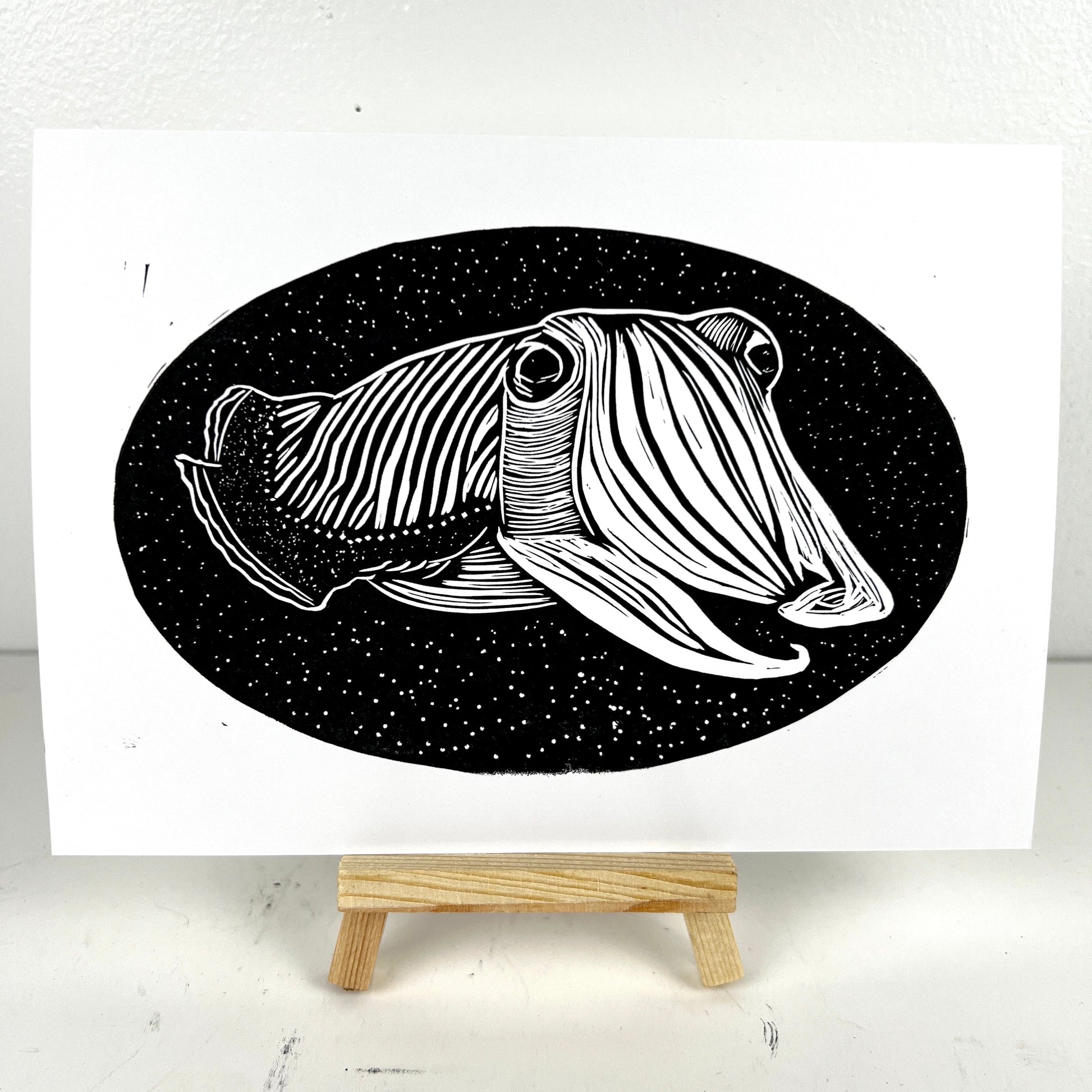 Cuttlefish in Space - The Space Cuttle - Arts & Crafts