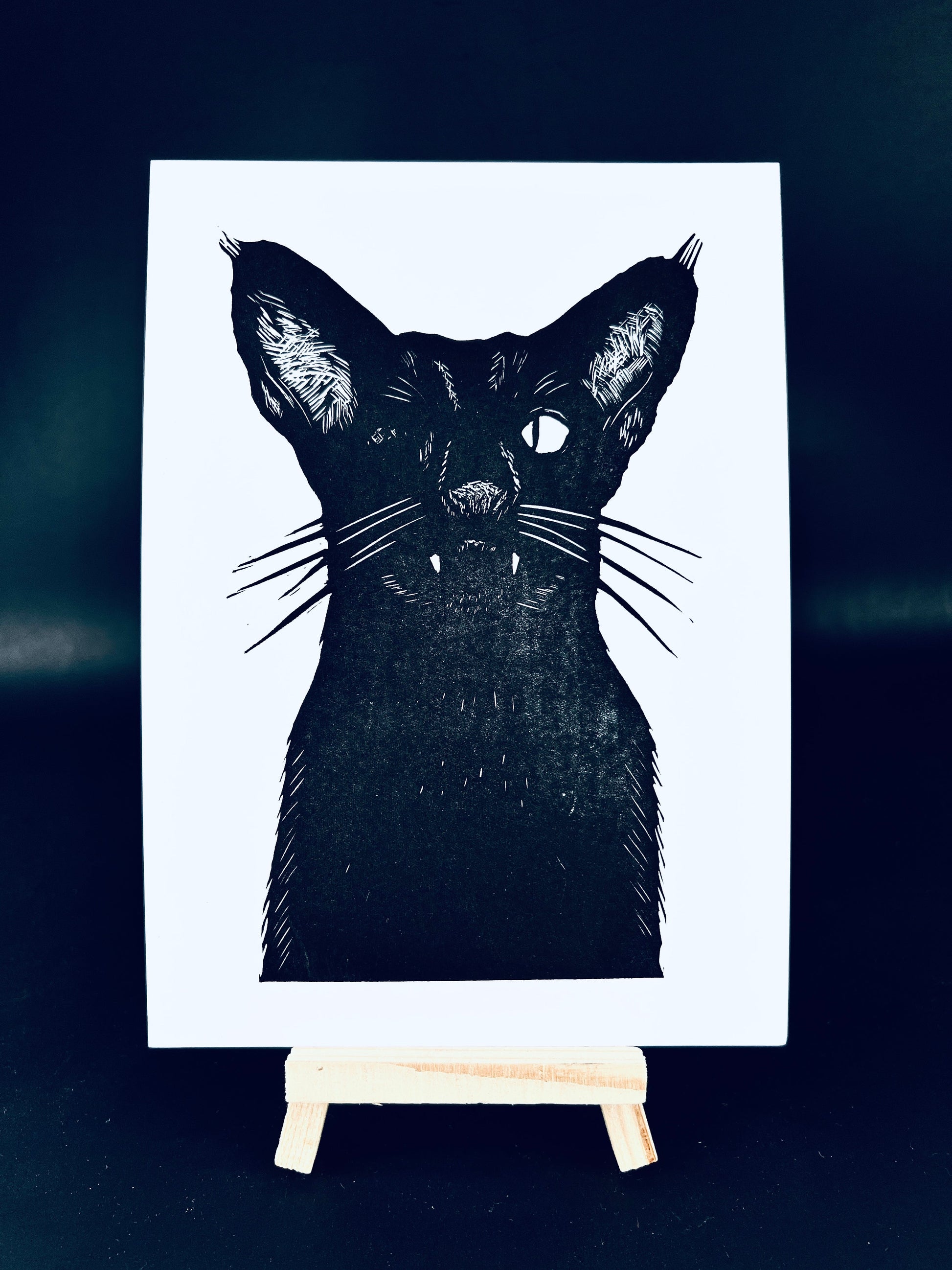 Dirty Fritzz the Vampirate - Arts & Crafts