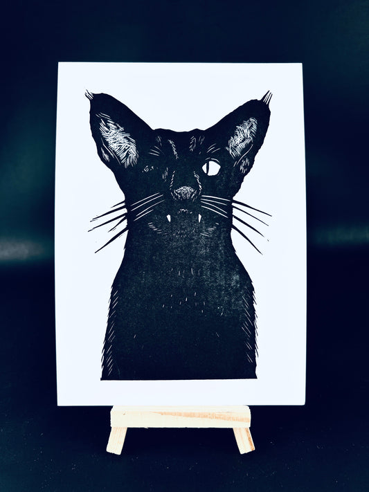 Dirty Fritzz the Vampirate - Arts & Crafts