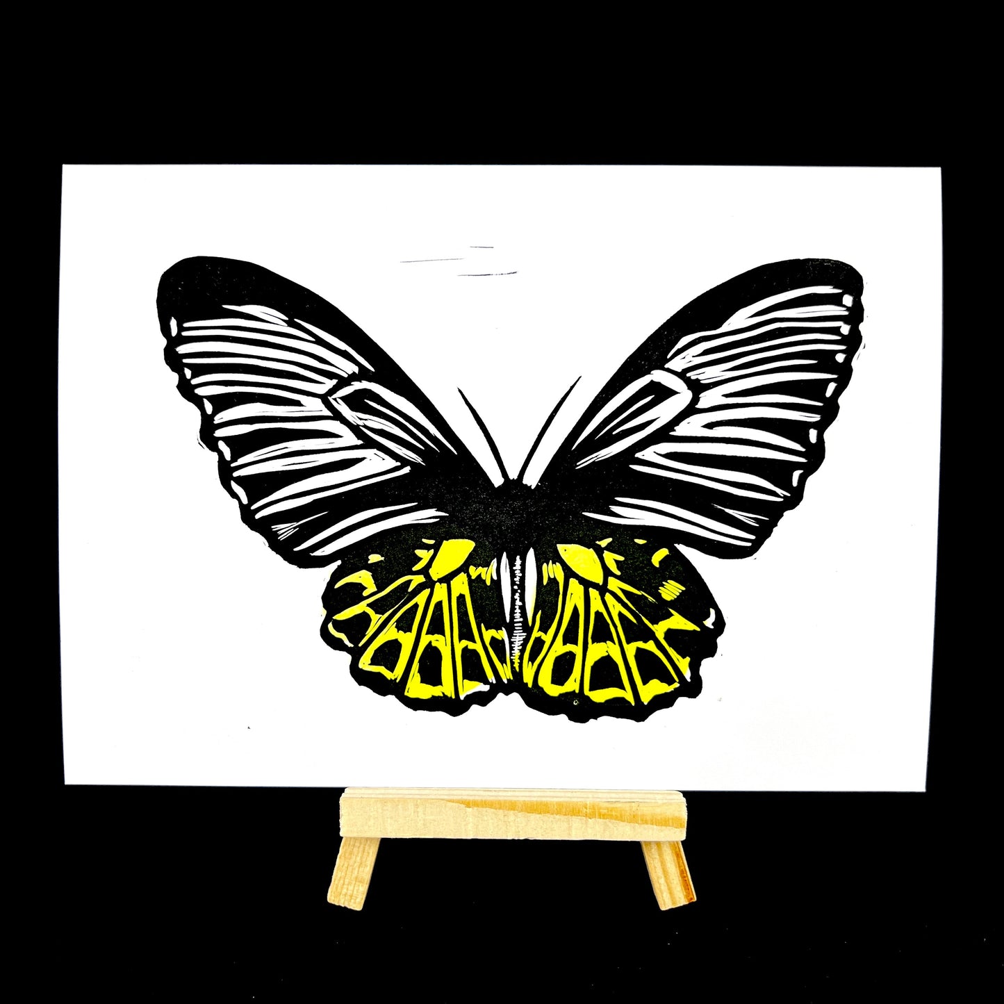 Golden Birdwing Butterfly - Arts & Crafts