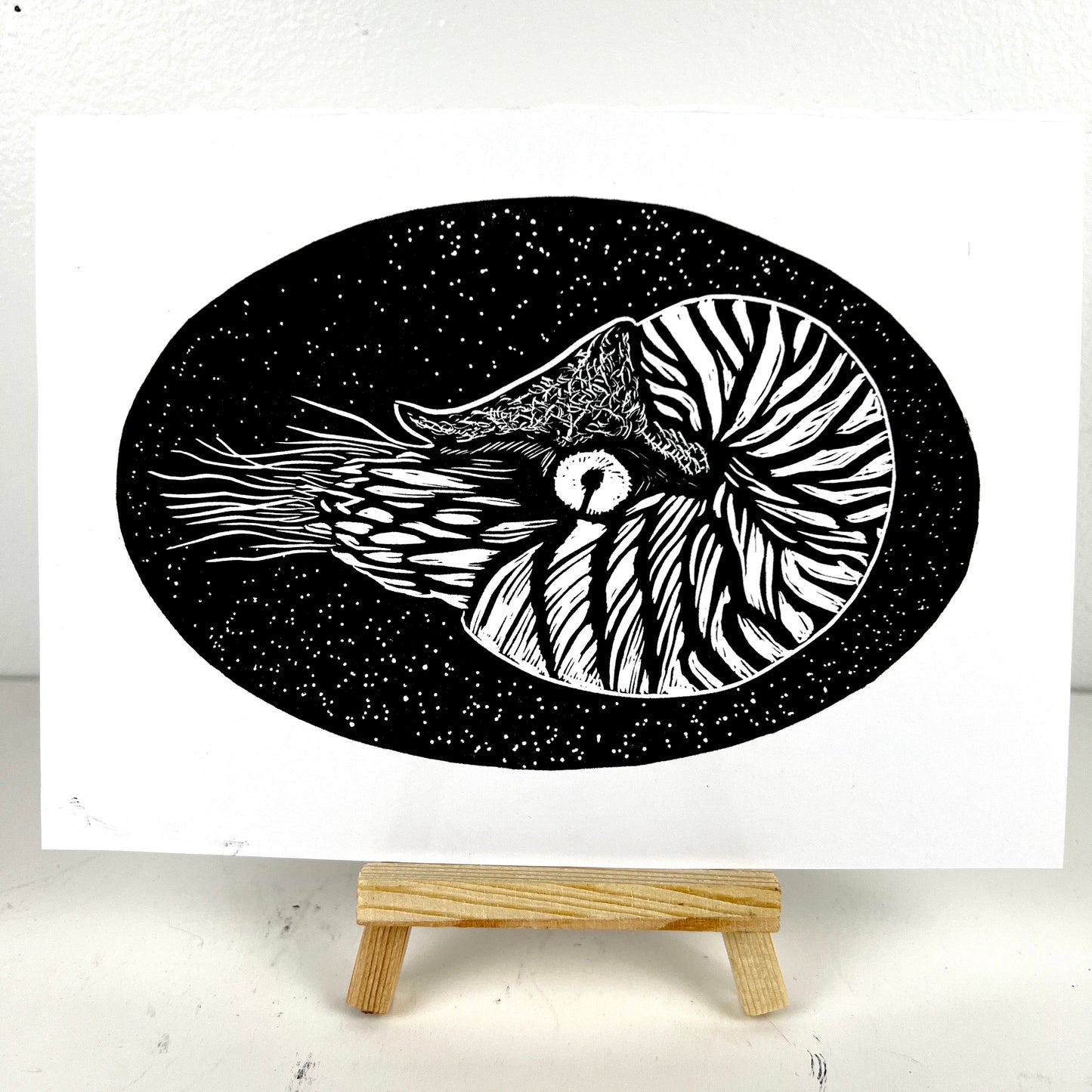 Natalie the Nautilus - Arts & Crafts