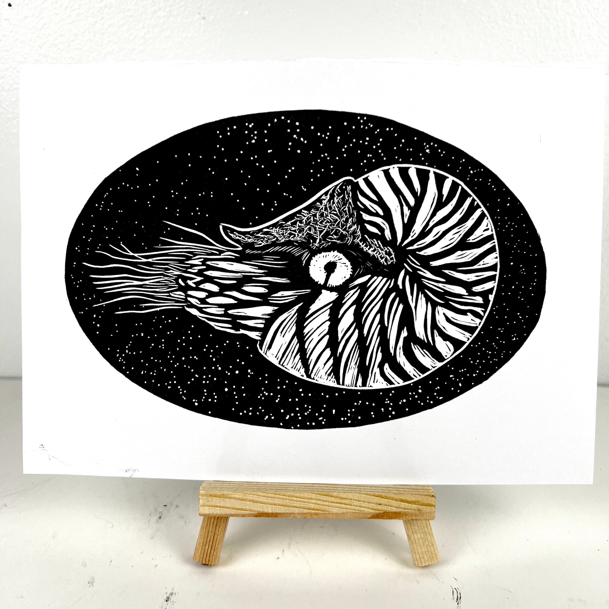 Natalie the Nautilus - Arts & Crafts