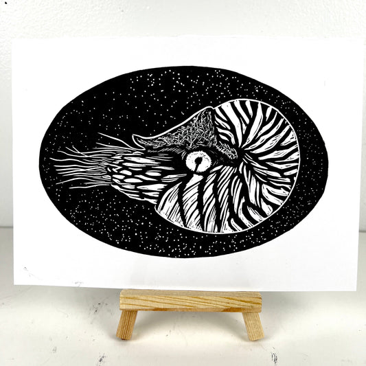 Natalie the Nautilus - Arts & Crafts