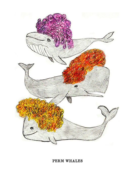 PERM WHALES (8.5 x 11’’) color print - Arts & Crafts