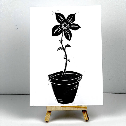 Potted Plant - Arts & Entertainment