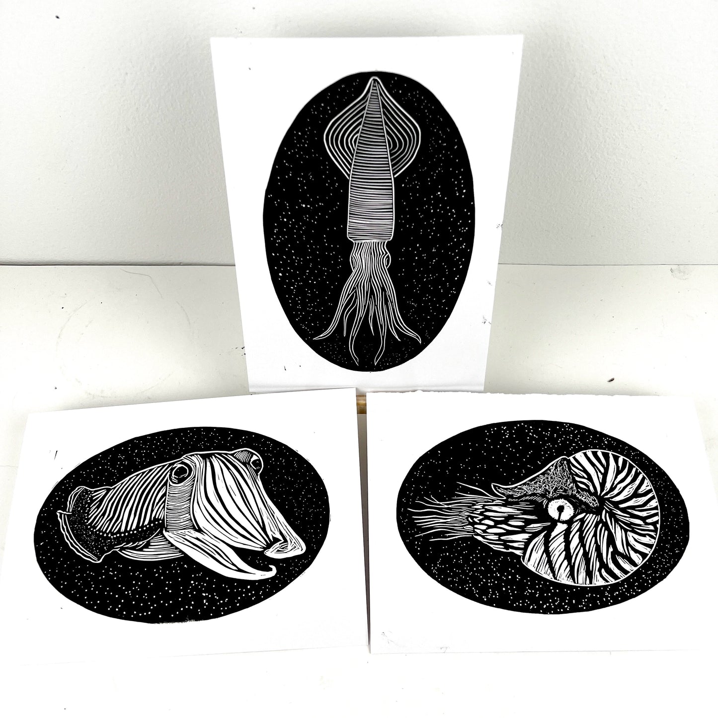 Sea Creature Triptych - Squid Cuttlefish & Nautilus - Arts & Crafts