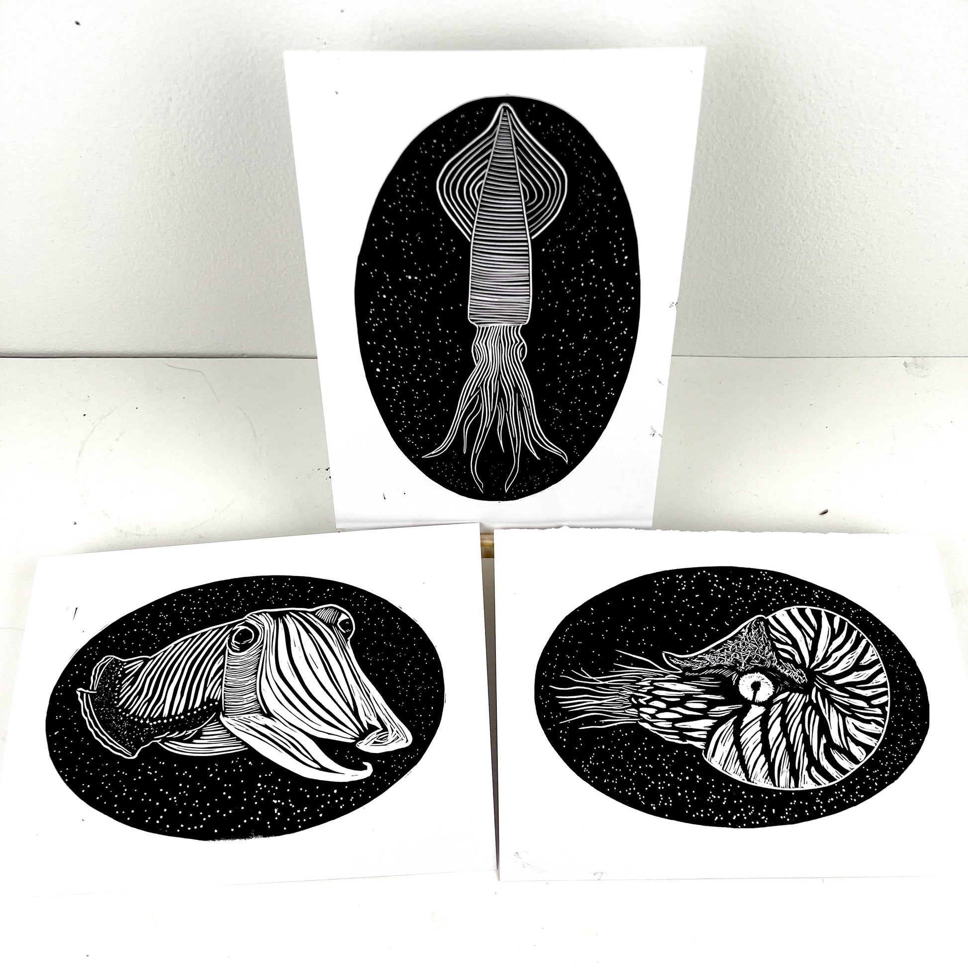 Sea Creature Triptych - Squid Cuttlefish & Nautilus - Arts & Crafts