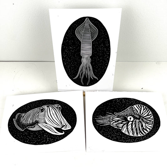 Sea Creature Triptych - Squid Cuttlefish & Nautilus - Arts & Crafts