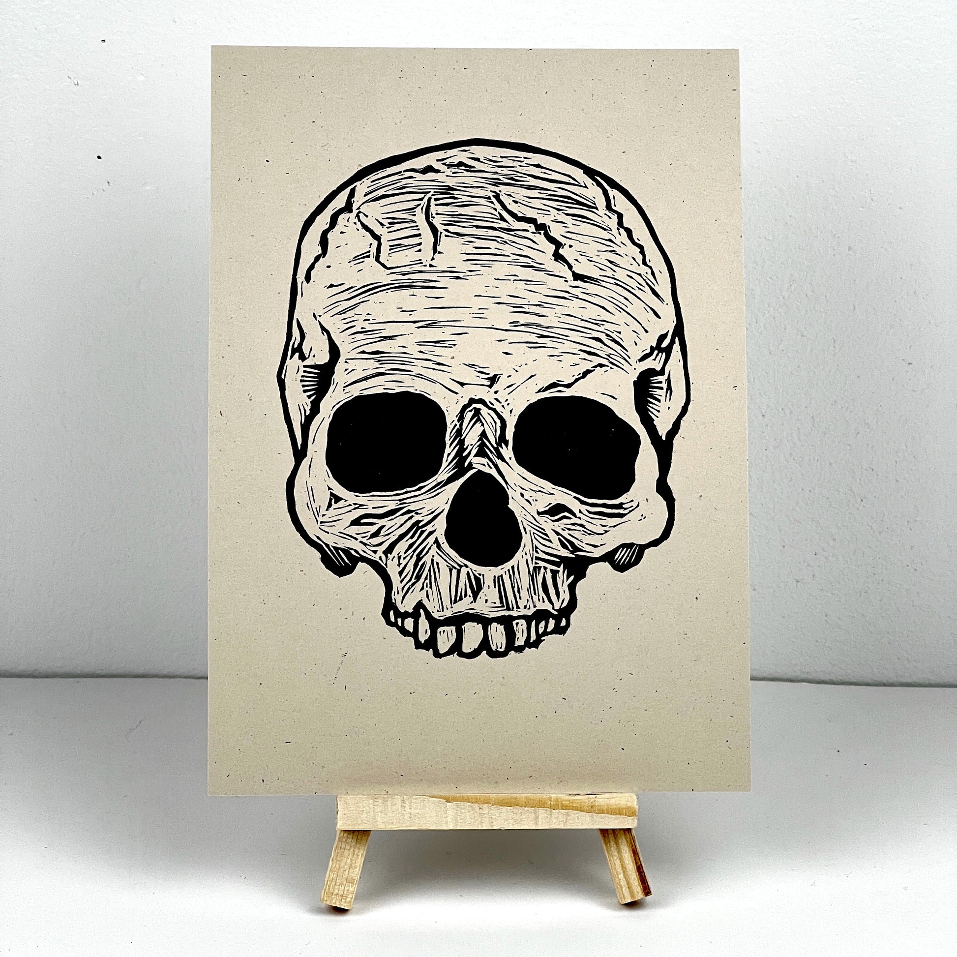 Skull - Arts & Entertainment