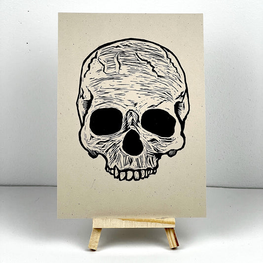 Skull - Arts & Entertainment