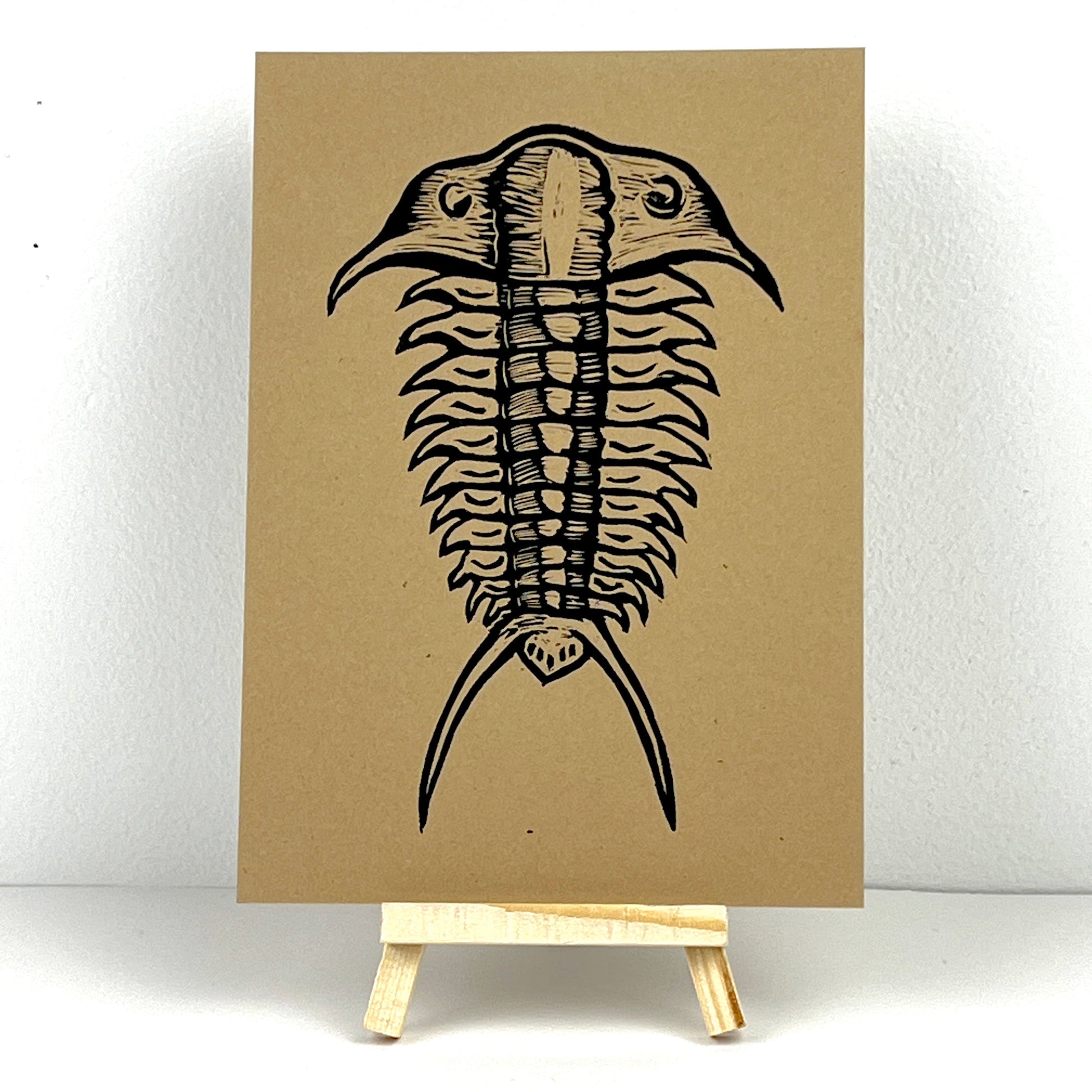 Trilobite ’Tracy’ - Arts & Crafts