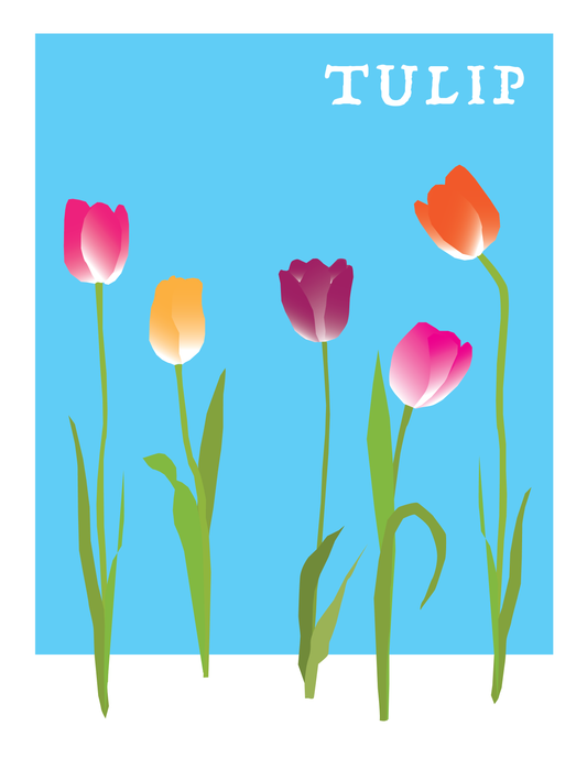 Tulip - Flower Series (8.5 x 11’’) color print - Prints