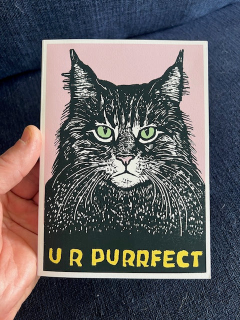 U R PURRFECT Cat - Greeting Card w/ envelope blank inside 5x7’’ - Greeting Card
