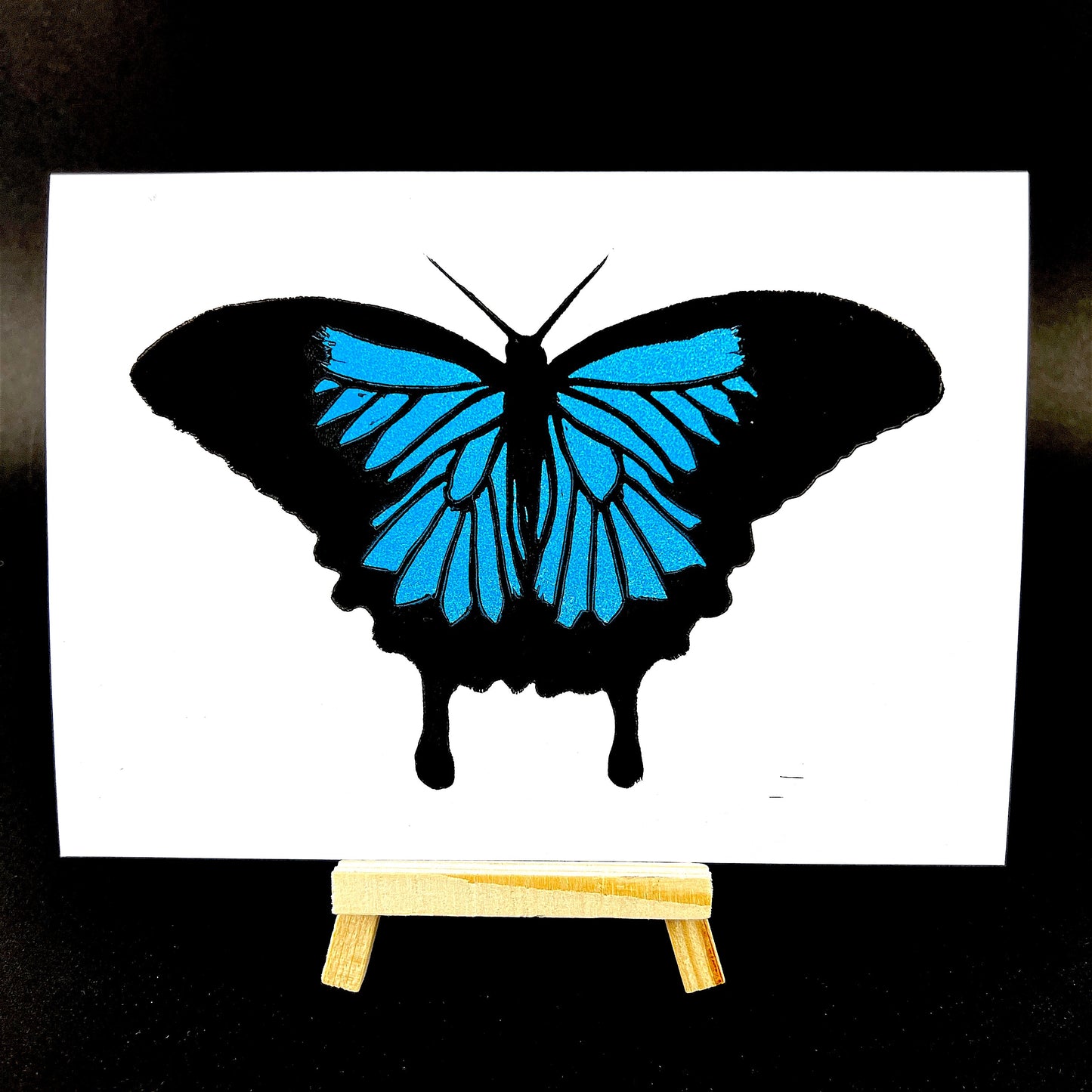 Ulysses Butterfly - Arts & Crafts
