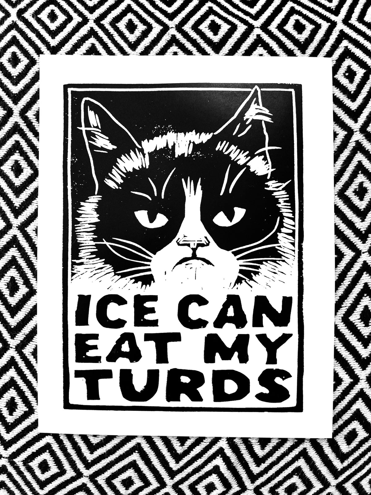 ICE CAN EAT MY TURDS screen print 8.5x11" cat resist feline