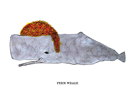 PERM WHALE (8.5 x 11") color print