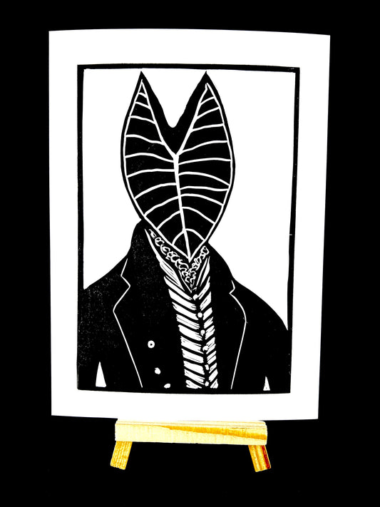 Admiral Alocasia - Arts & Crafts