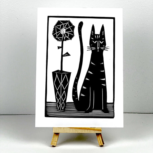 Black Cat Spider Plant - Arts & Crafts