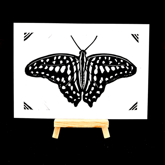 Butterfly - Variety - Arts & Crafts