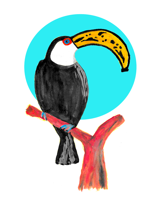 Toucanana (8.5 x 11’’) color print - Arts & Crafts