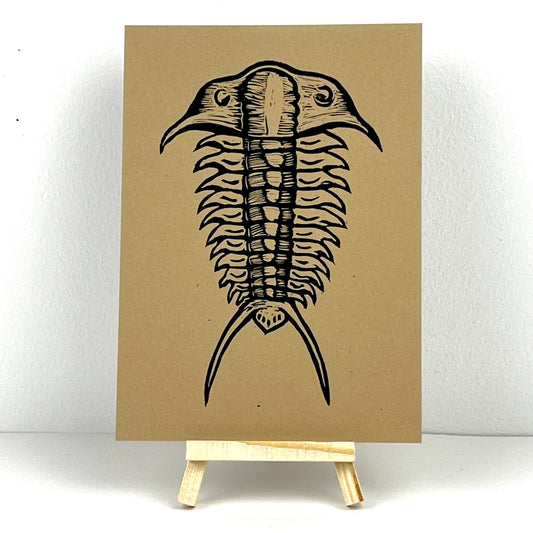 Trilobite ’Tracy’ - Arts & Crafts