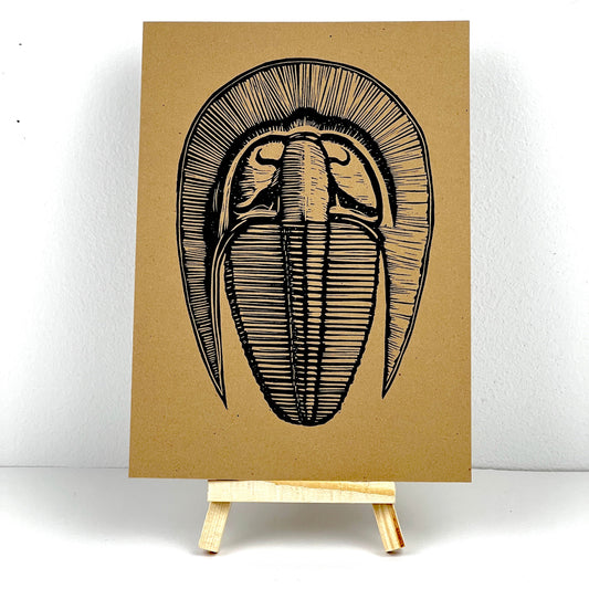 Trilobite ’Treena’ - Arts & Crafts