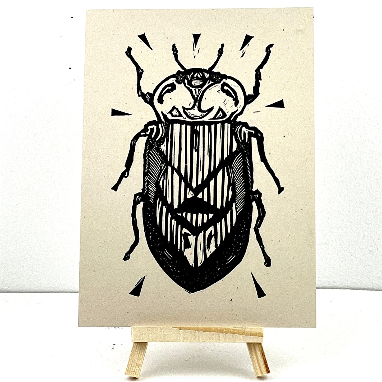Weevil - Arts & Crafts