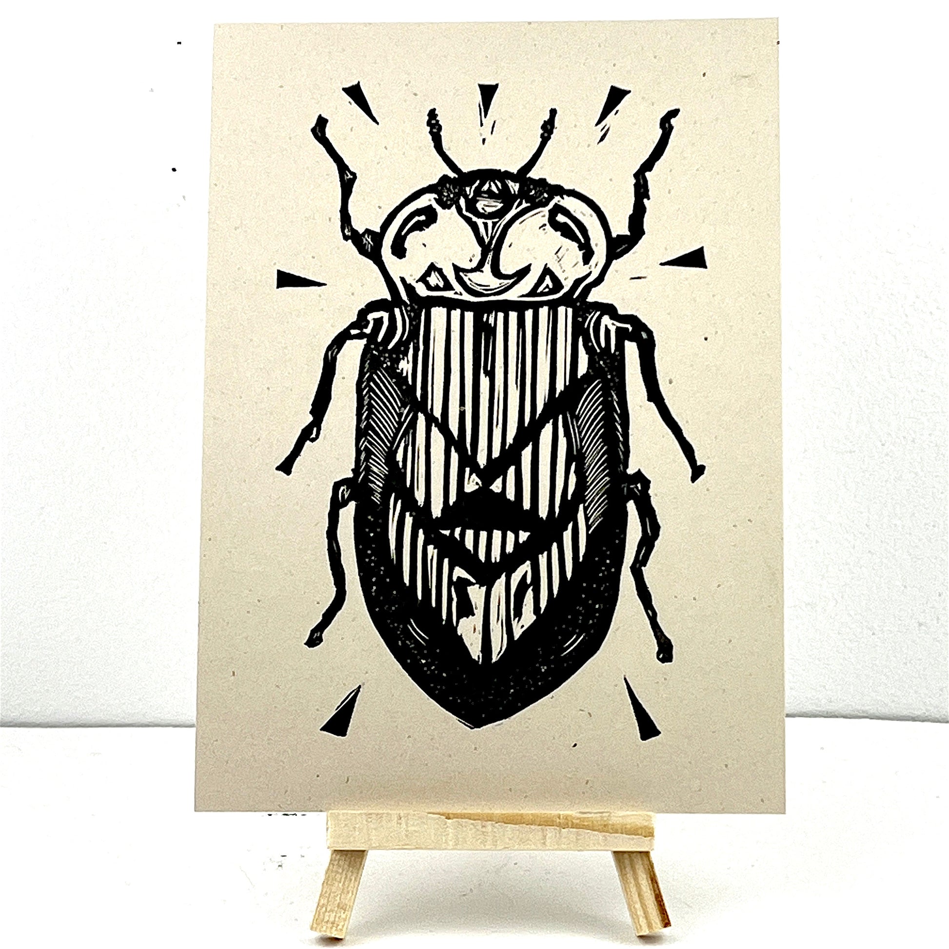 Weevil - Arts & Crafts